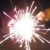 Profilbild von Carolin