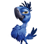 Profilbild von Jonathan Reinhold
